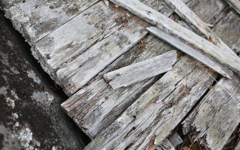 Traitement préventif de charpente : quand et pourquoi intervenir ?