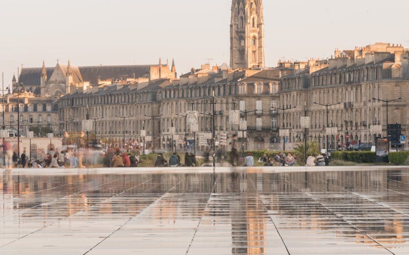 Zones à risque termites : Bordeaux, Bassin d'Arcachon et Libournais