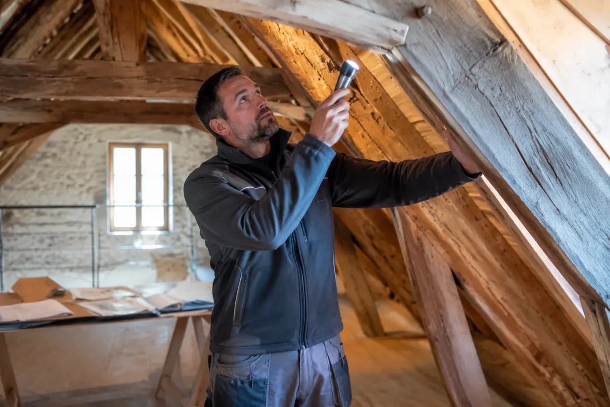 Prix d'un traitement termites en Gironde : ce qui fait varier le tarif