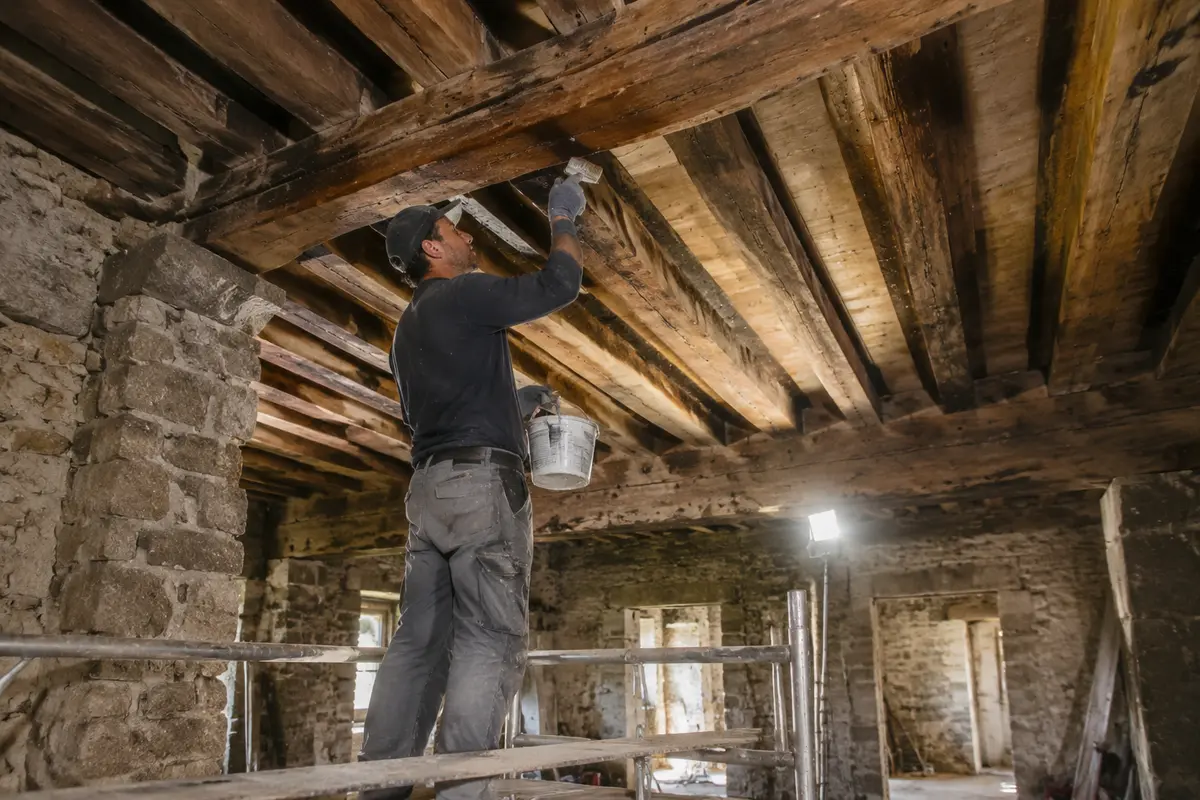 Traitement du bois avant rénovation : pourquoi c'est indispensable
