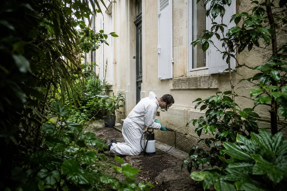 Traitement termites à Bègles (33130) : guide complet pour propriétaires rive gauche Garonne