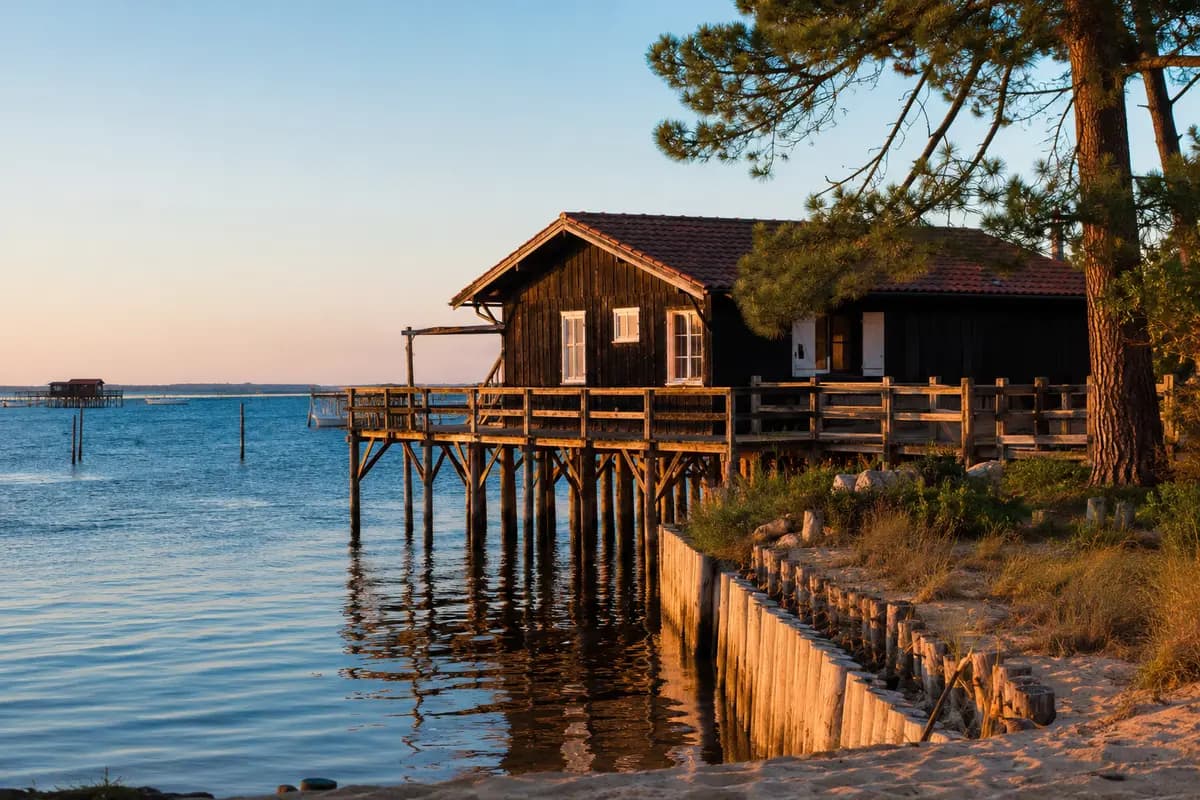 Traitement termites Lège-Cap-Ferret (33950) — guide complet presqu'île du Bassin