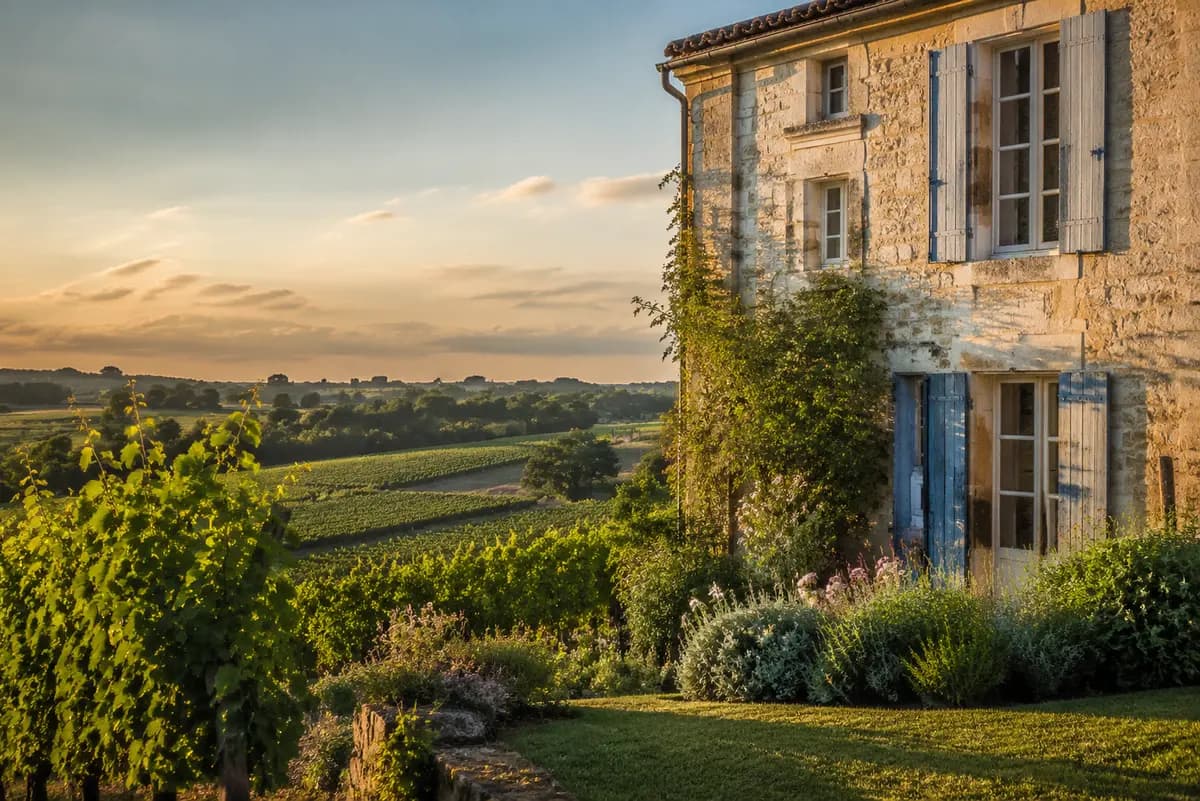 Traitement des termites à Gensac (33890) : coteaux de la Dordogne et maisons vigneronnes