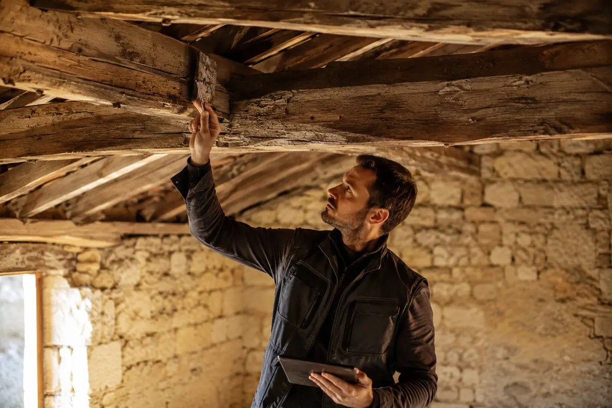 Traitement des termites à Libourne (33500) : le guide complet pour les propriétaires du Libournais