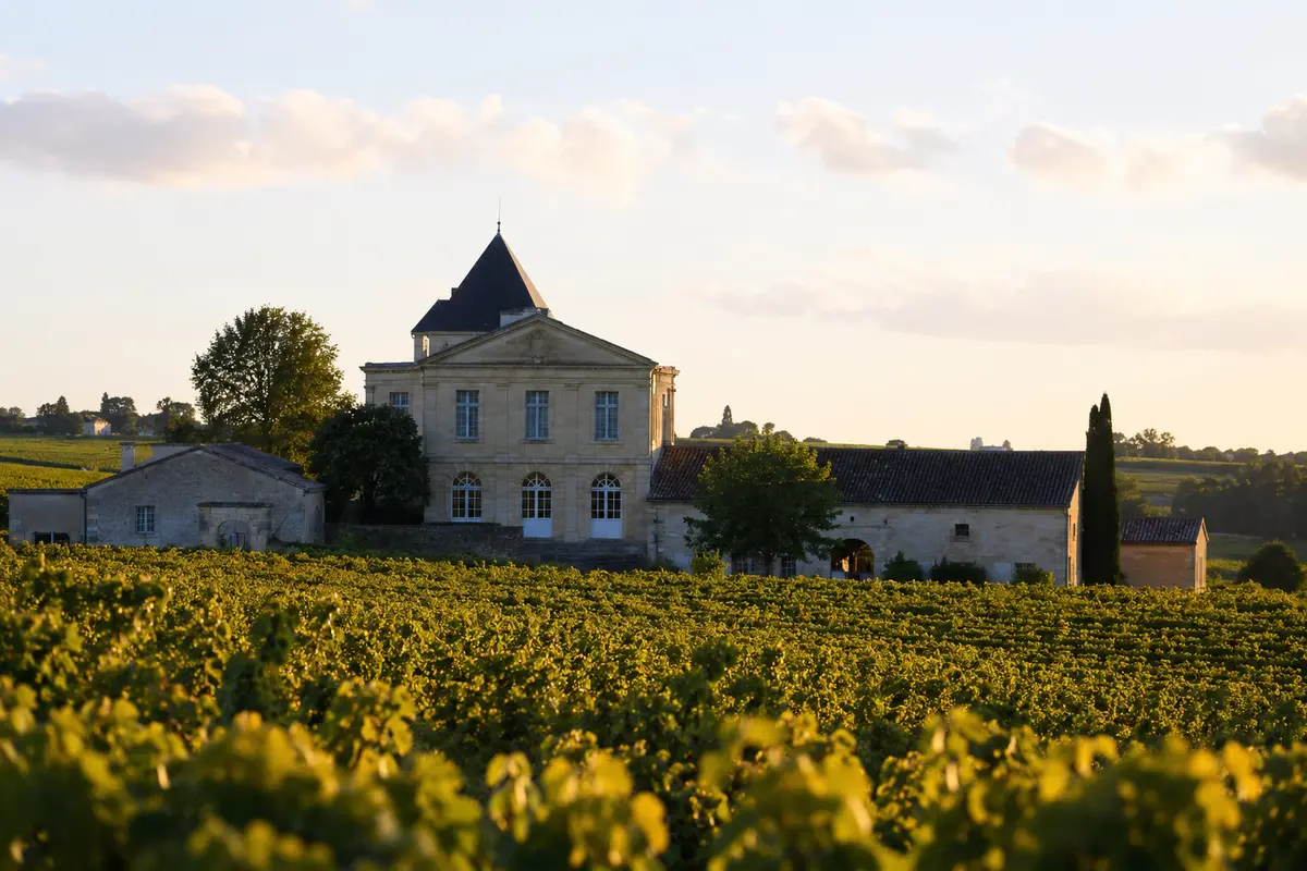 Traitement des termites à Lussac-Saint-Émilion (33570) : guide complet plateau calcaire AOC