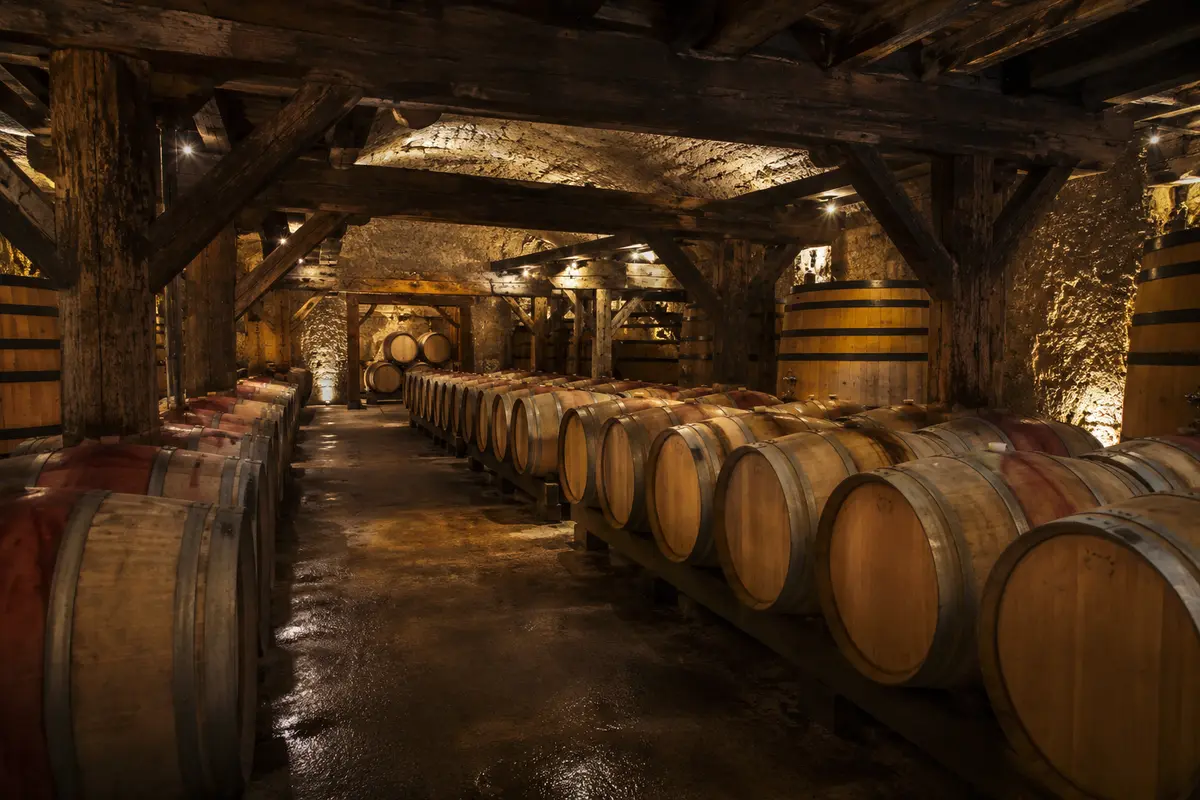 Traitement termites Pomerol (33500) : châteaux viticoles et bâti patrimonial