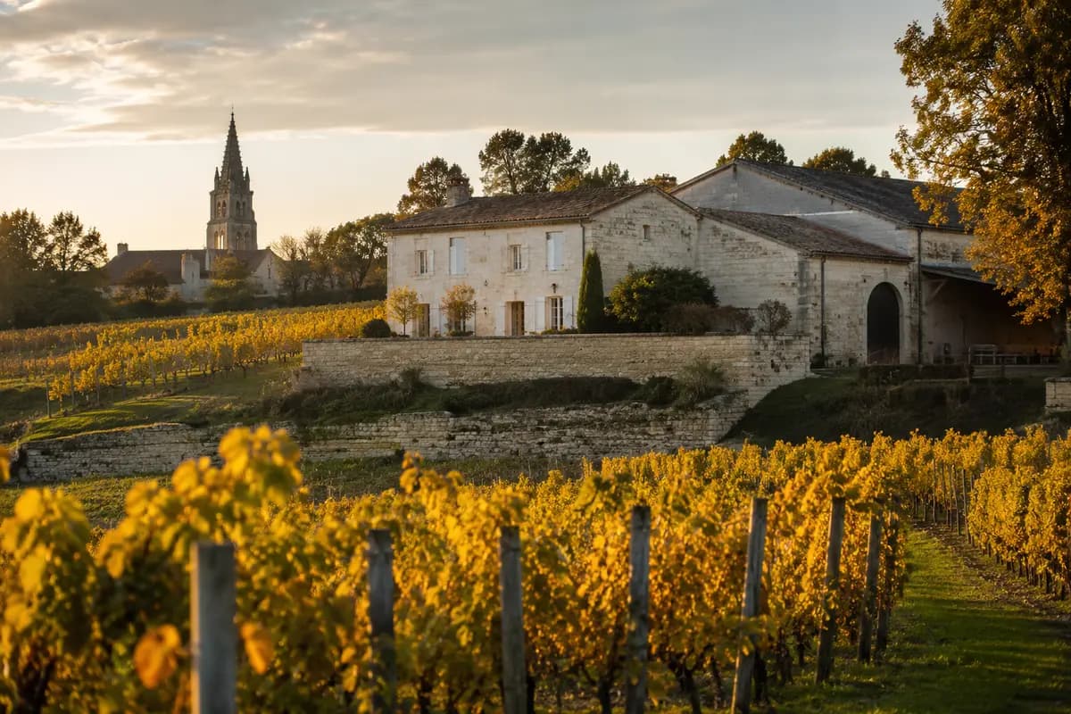 Traitement des termites à Prignac-et-Marcamps (33710) : vignobles, grottes et calcaire en Haute-Gironde