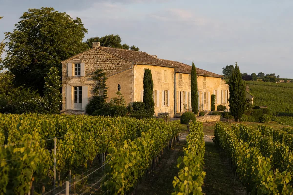 Traitement termites à Saint-Cibard (33570) : plateau calcaire et bâti vigneron des Côtes de Castillon