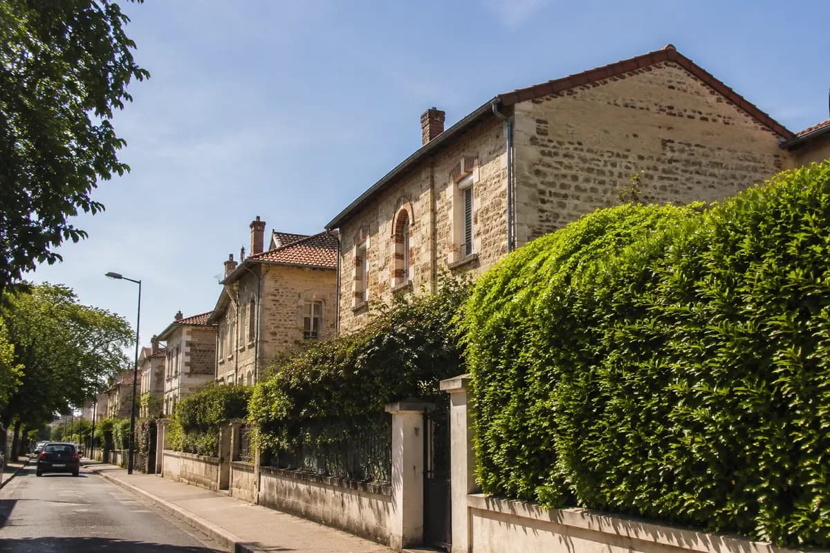 Traitement des termites à Talence