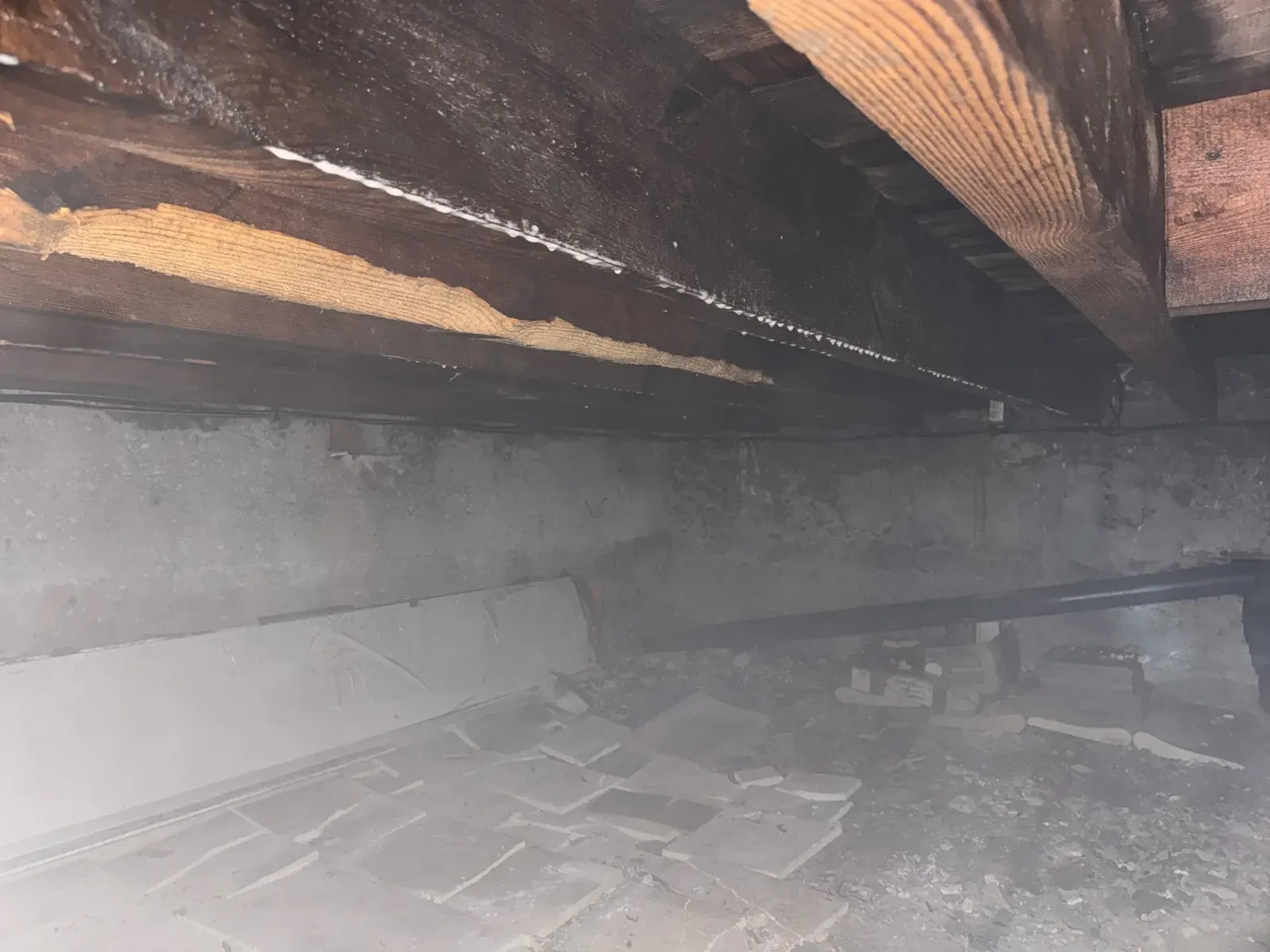 Mycélium blanc cotonneux en cordons sur une solive de vide sanitaire à Blanquefort
