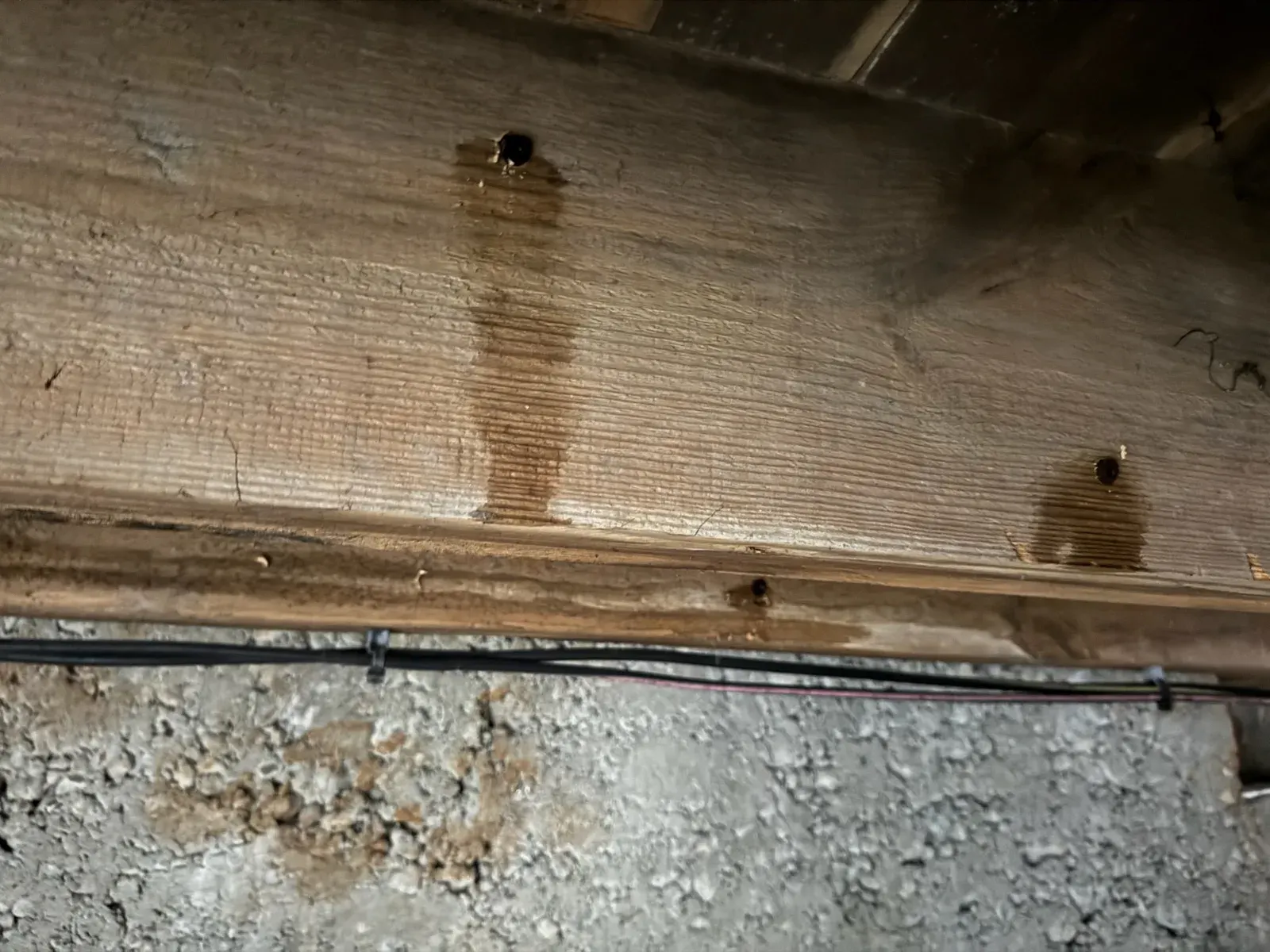 Solive de plancher bas à Blanquefort présentant des taches d'humidité brunes et des trous de perçage