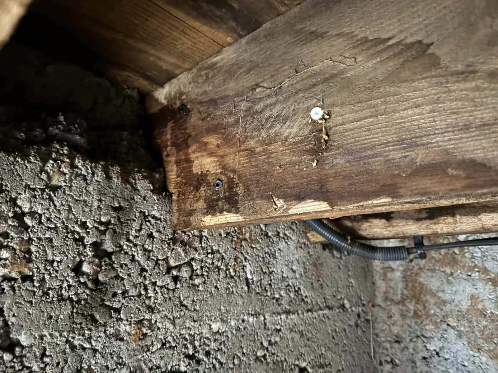 Appui de solive dans la maçonnerie d'un vide sanitaire à Blanquefort, bois assombri par l'humidité