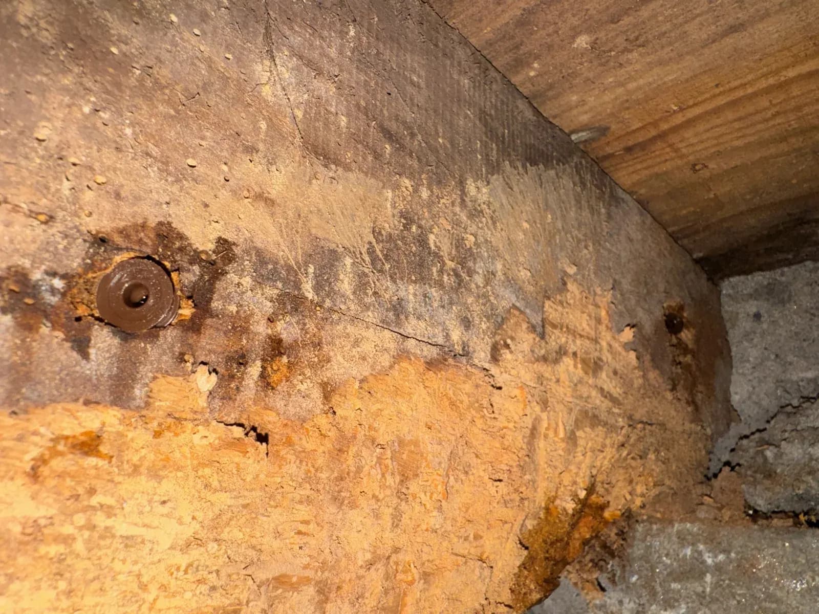 Bois de solive délité et fibres claires après bûchage dans un vide sanitaire à Blanquefort