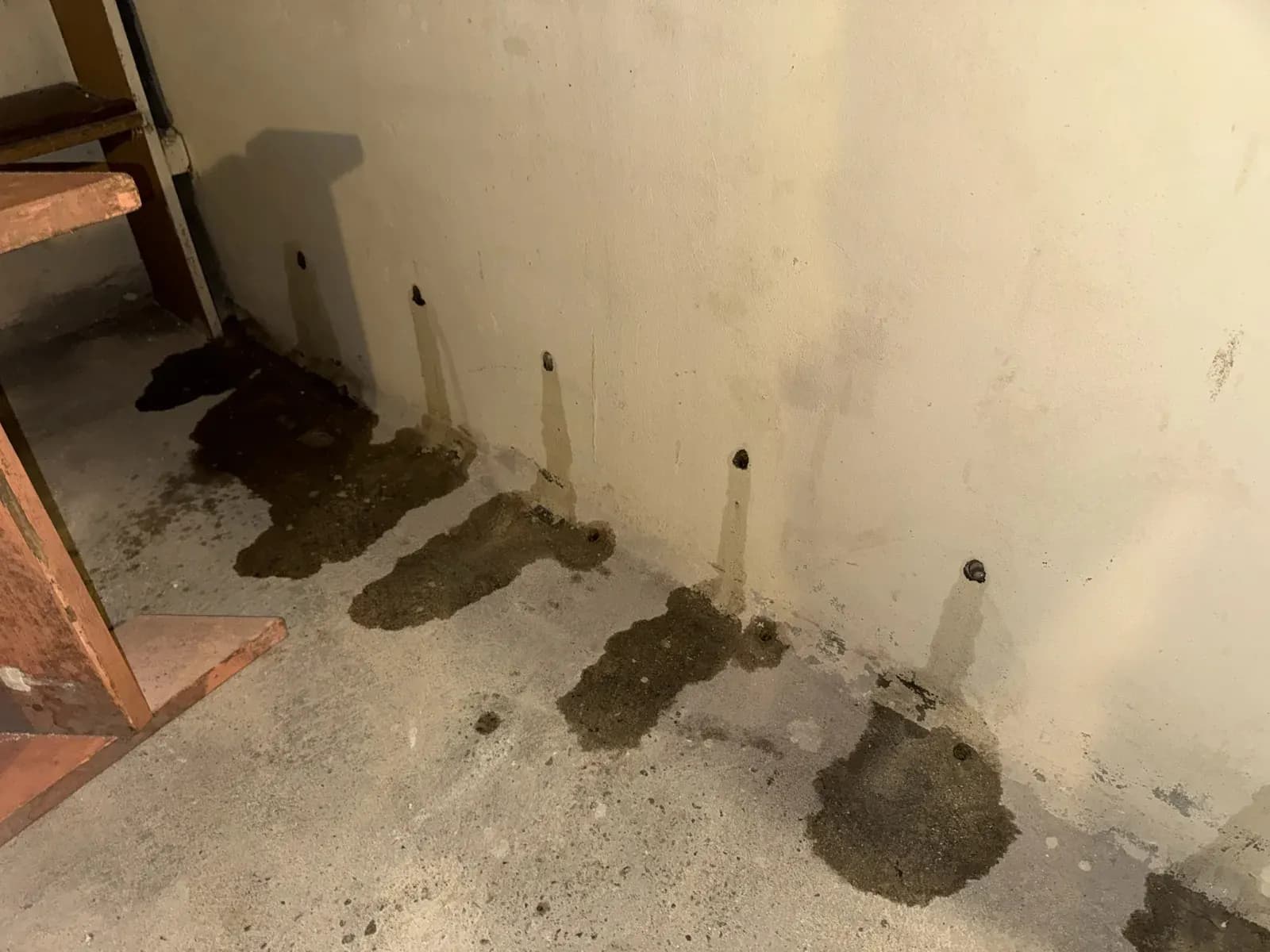 Mur intérieur de cave injecté en pied contre les termites à Bordeaux