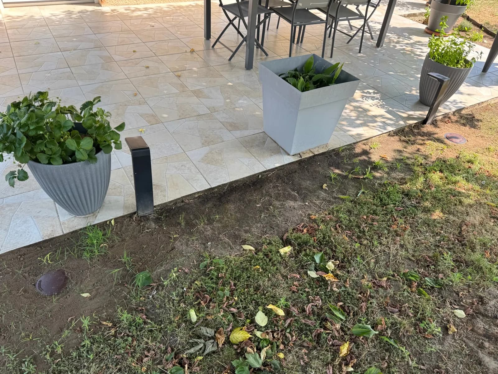 Stations d'appâtage anti-termites enterrées le long d'une terrasse carrelée à Saint-André-de-Cubzac