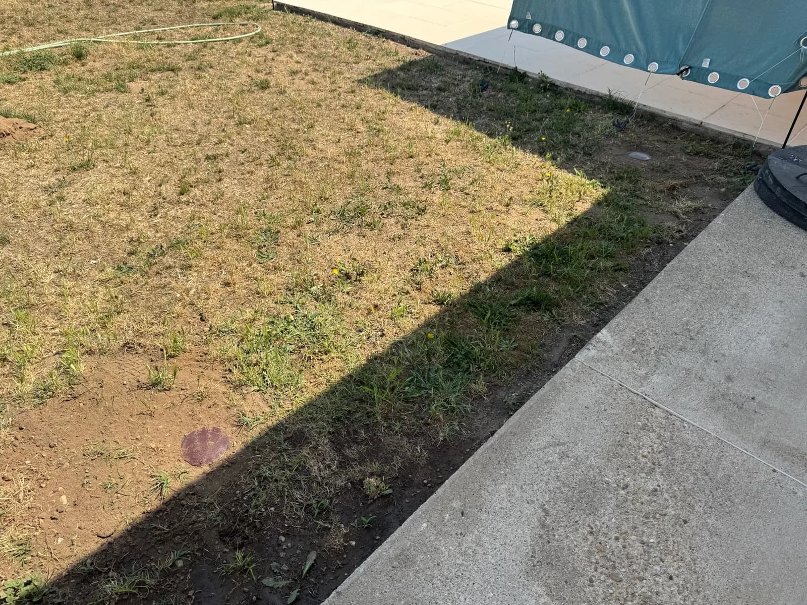 Station d'appâtage à termites enterrée dans la pelouse le long d'une maison à Saint-André-de-Cubzac
