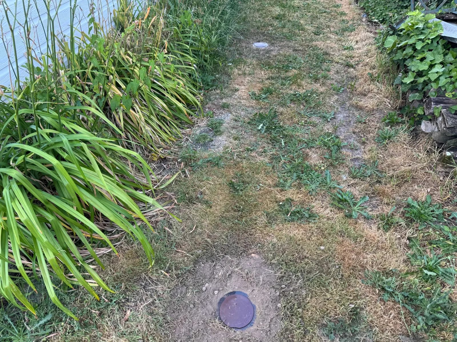 Stations d'appâtage anti-termites enterrées le long d'une maison dans un jardin à Ayguemorte-les-Graves