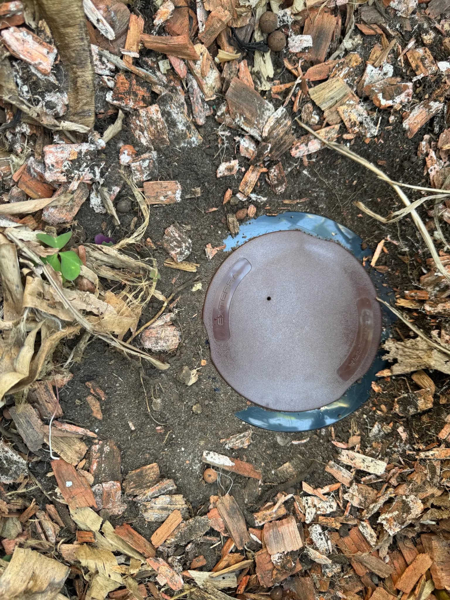 Capot d'une station d'appâtage Exterra™ à fleur de terre dans un massif à Eysines
