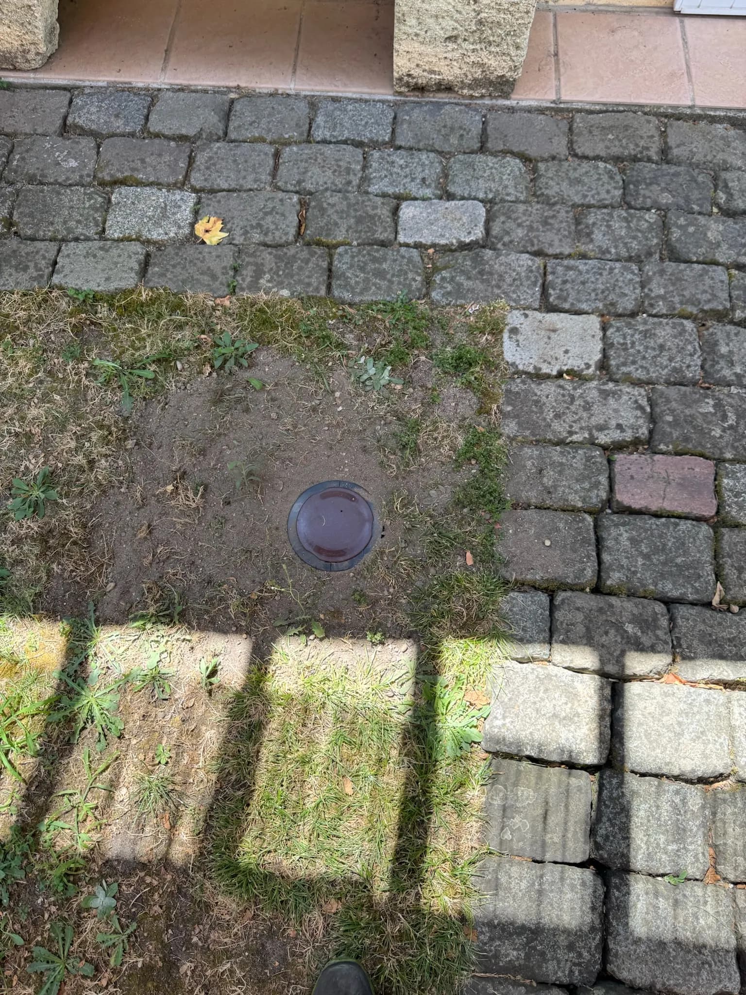 Station d'appâtage anti-termites installée entre une allée pavée et une entrée de maison à Ambarès-et-Lagrave