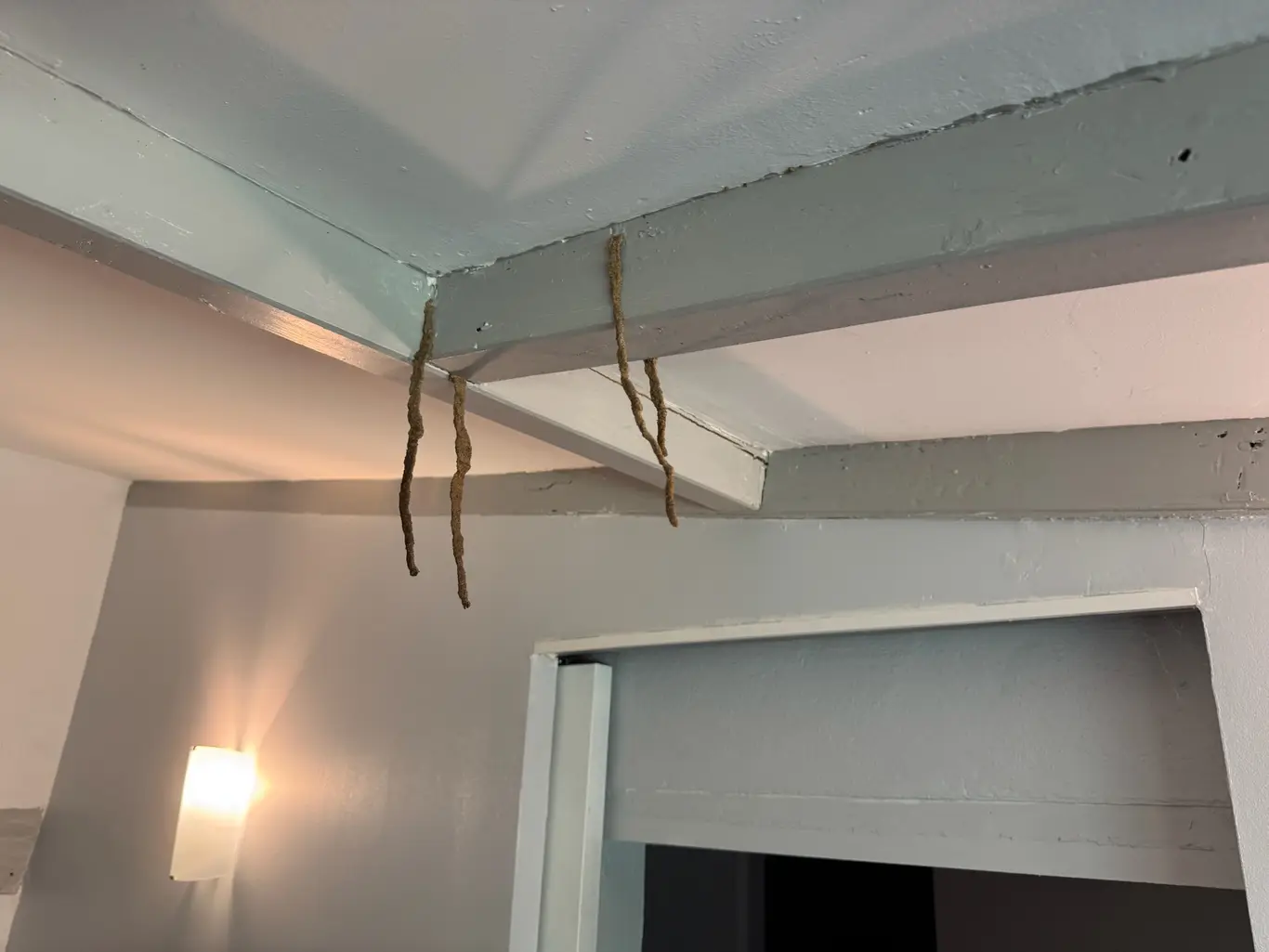 Cordonnets de termites en intérieur et pose de stations d'appâtage à Louchats