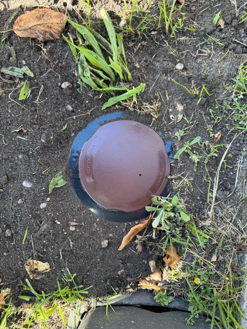 Capot d'une station de piégeage de termites enterrée à fleur de terre à Pessac