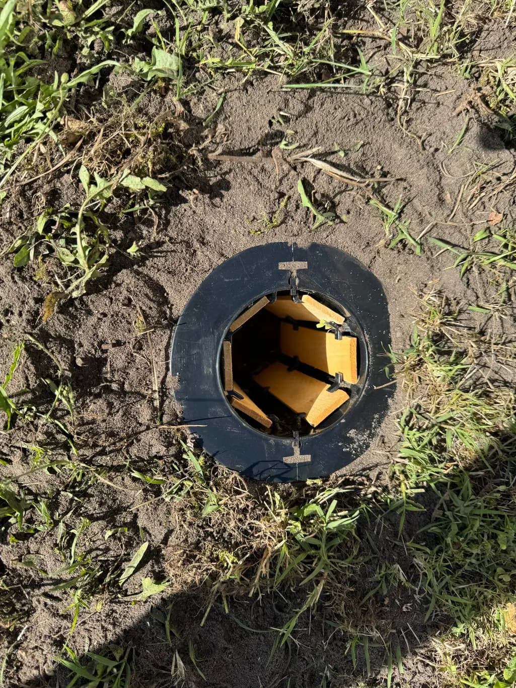 Pièges à termites en périmètre – Pessac