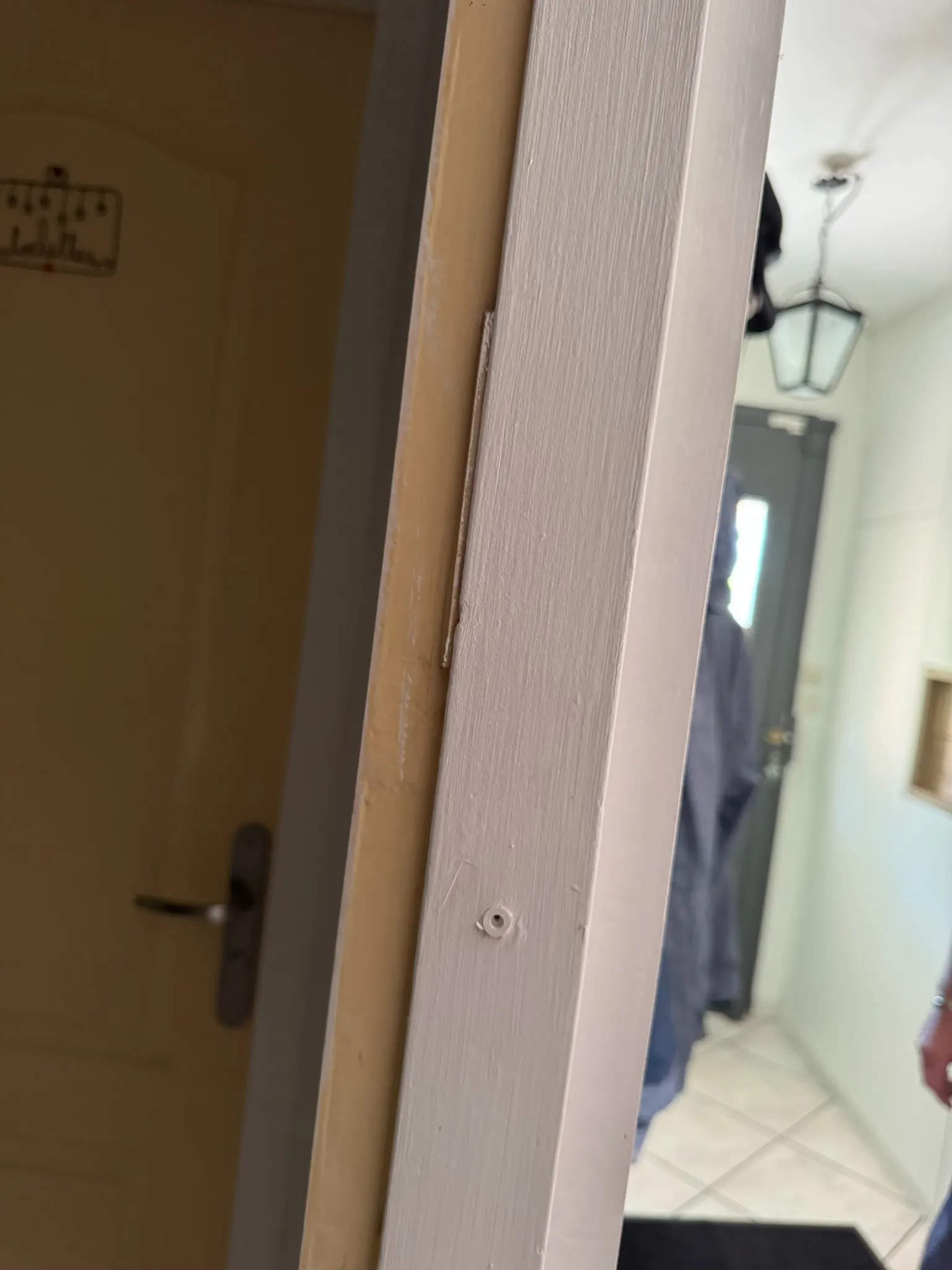 Cadre de porte en bois traité par injection contre les termites à Pessac