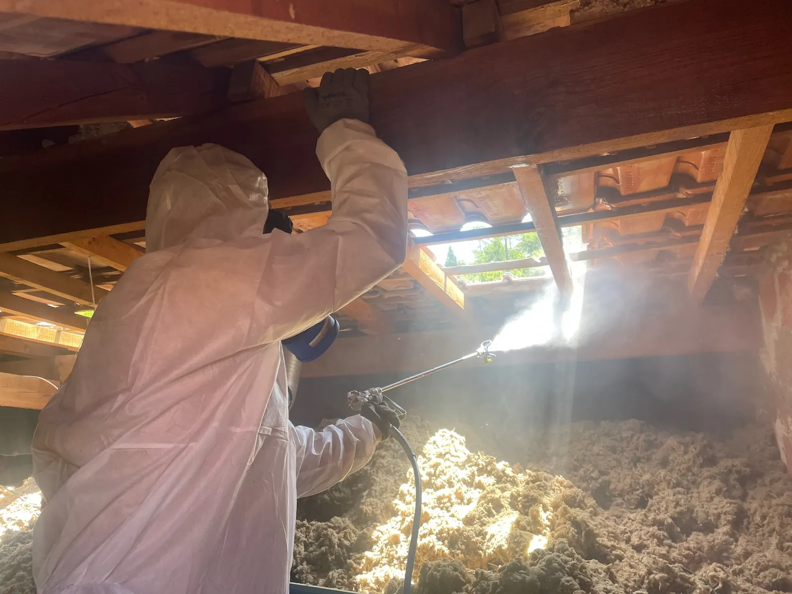 Technicien en combinaison de protection intégrale pulvérisant un gel insecticide sur une charpente à Arès