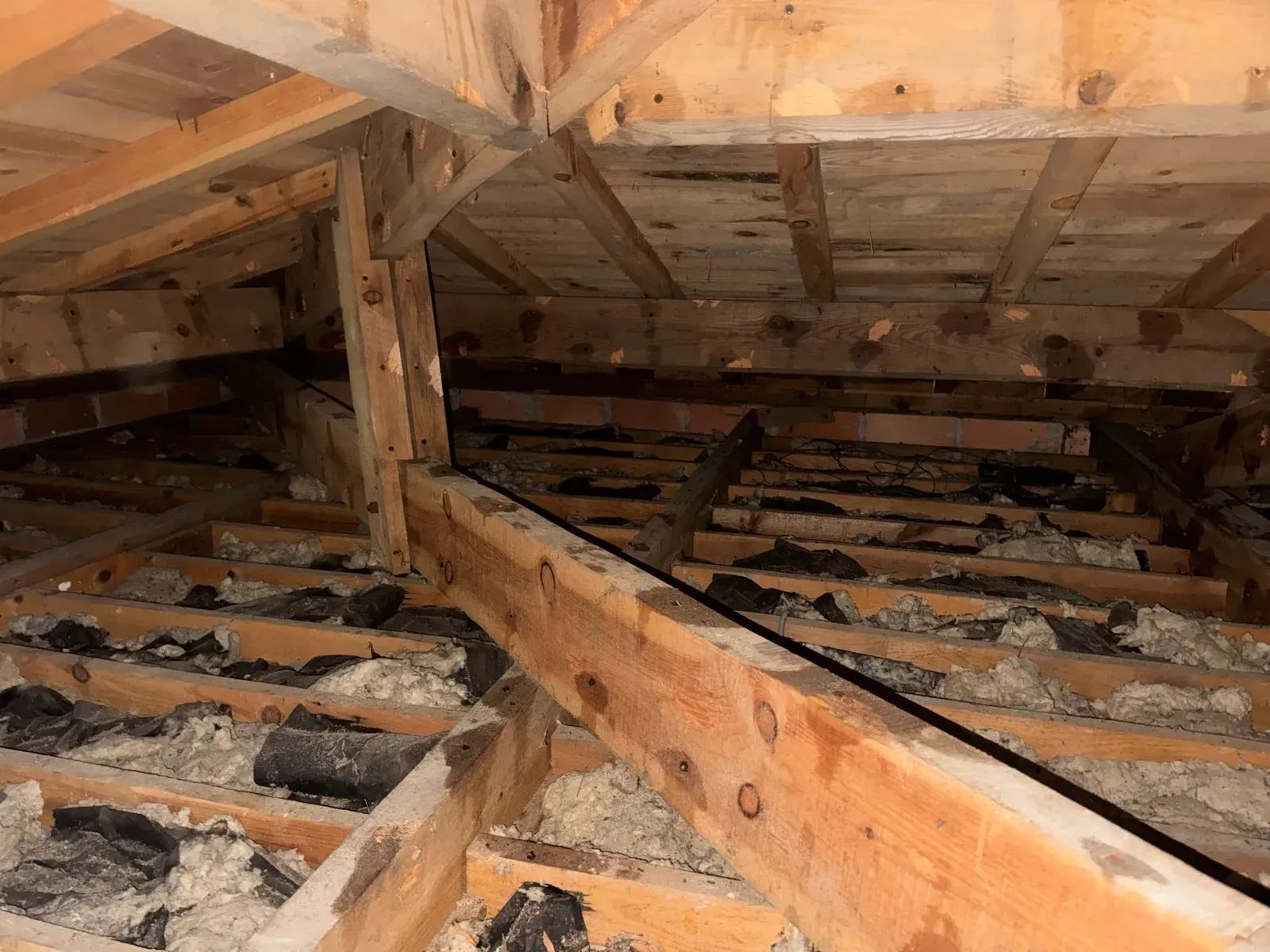 Charpente en bois résineux et solives avec isolant dans les combles d'une maison du Pyla-sur-Mer