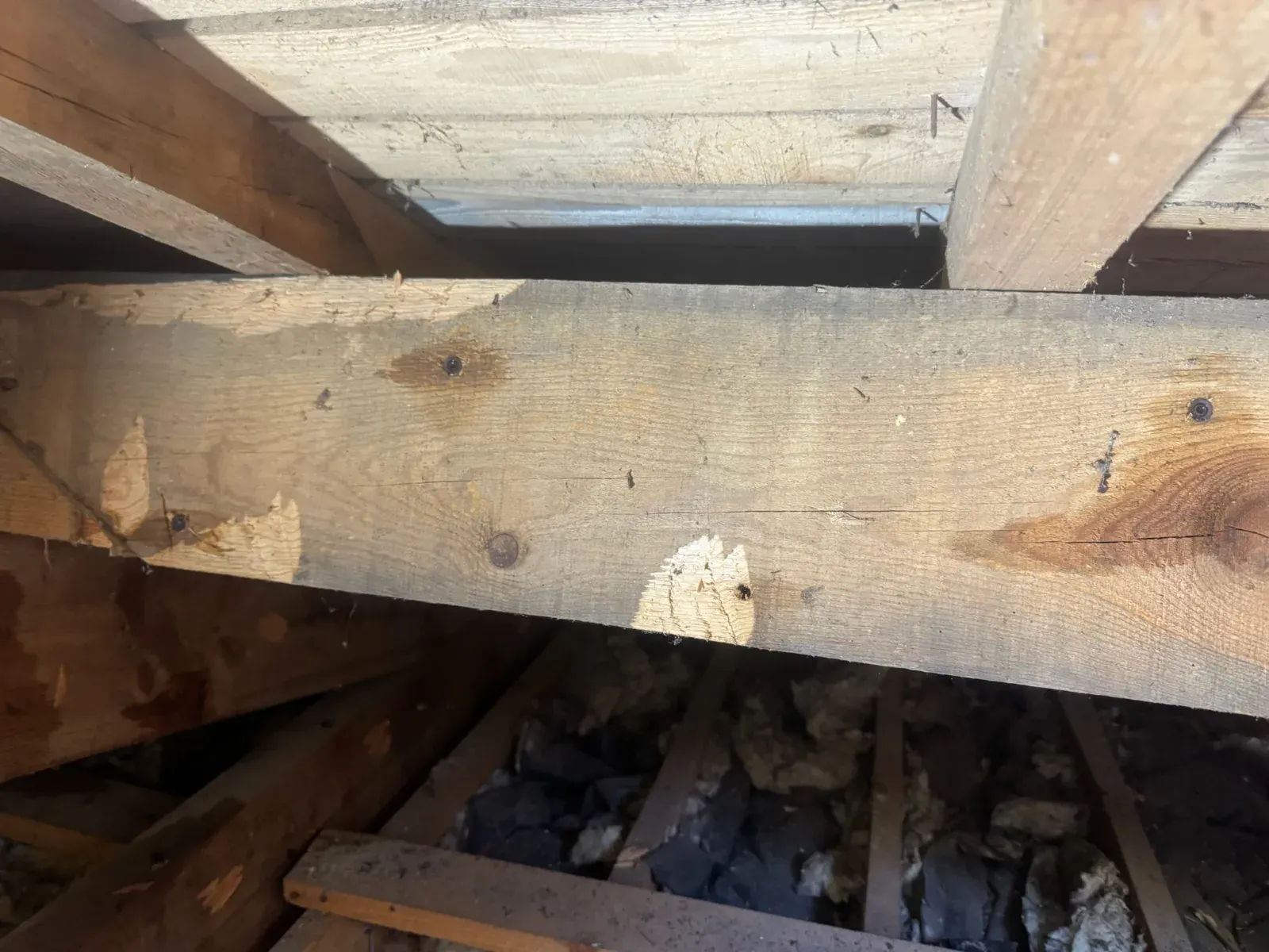Pièce de charpente sondée au Pyla-sur-Mer montrant un éclat de bois mis à nu