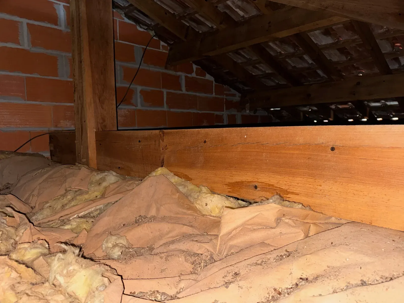 Charpente et isolant en comble perdu à Gujan-Mestras, bois de sablière avec trous d'insectes