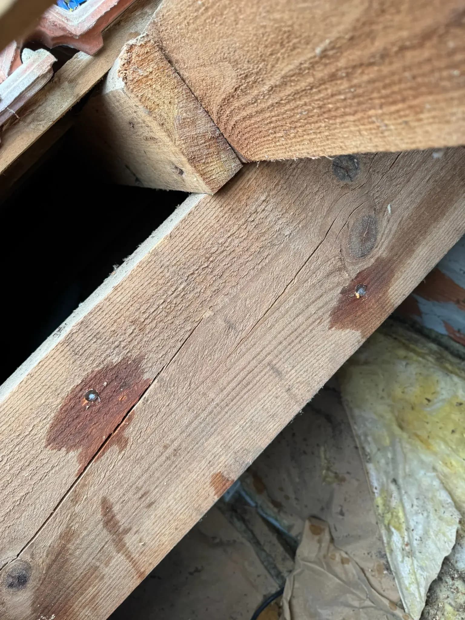 Détail d'une panne de charpente bûchée et traitée à Gujan-Mestras