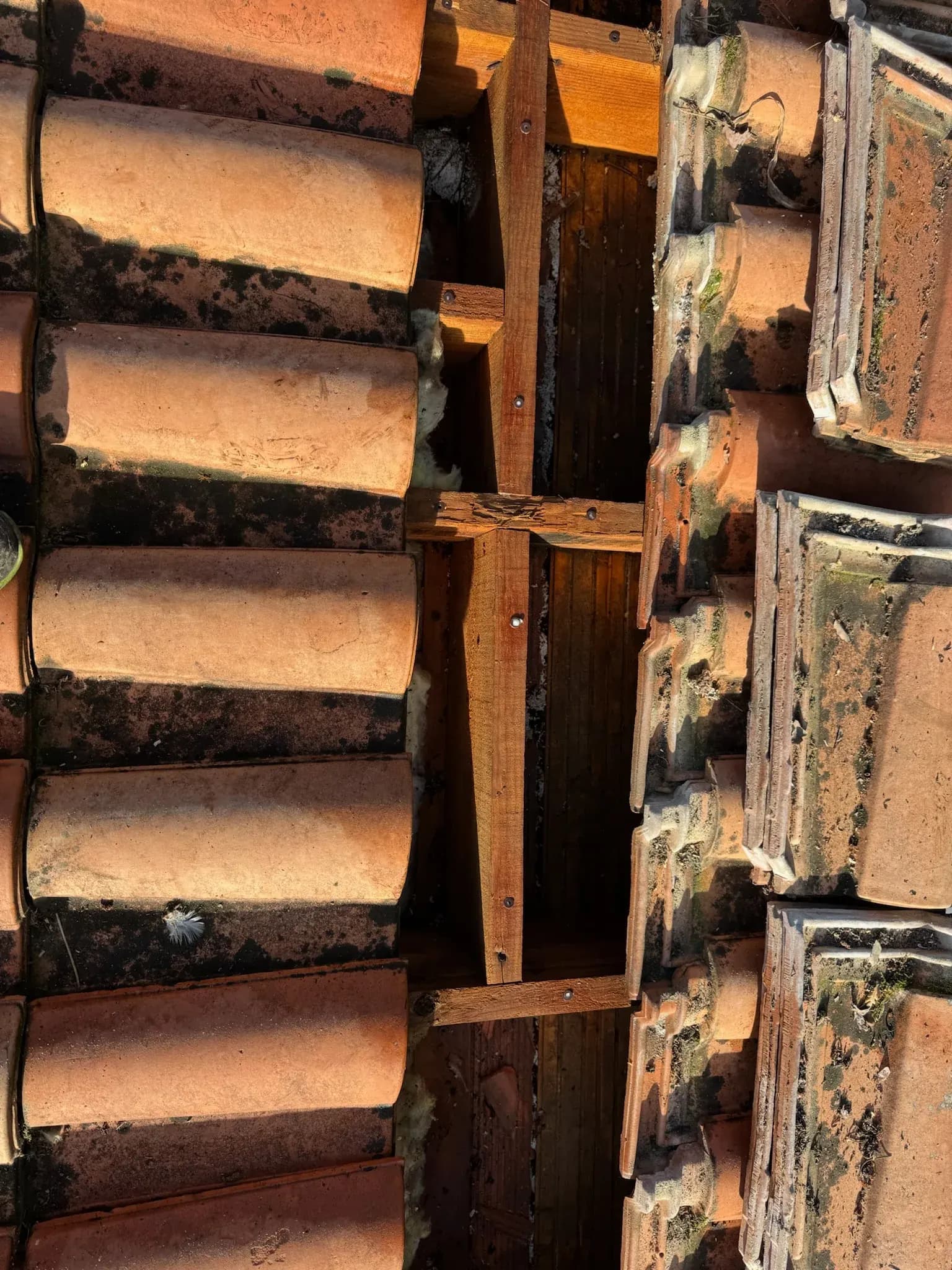 Tuiles soulevées sur une toiture de Gujan-Mestras laissant apparaître les liteaux de charpente
