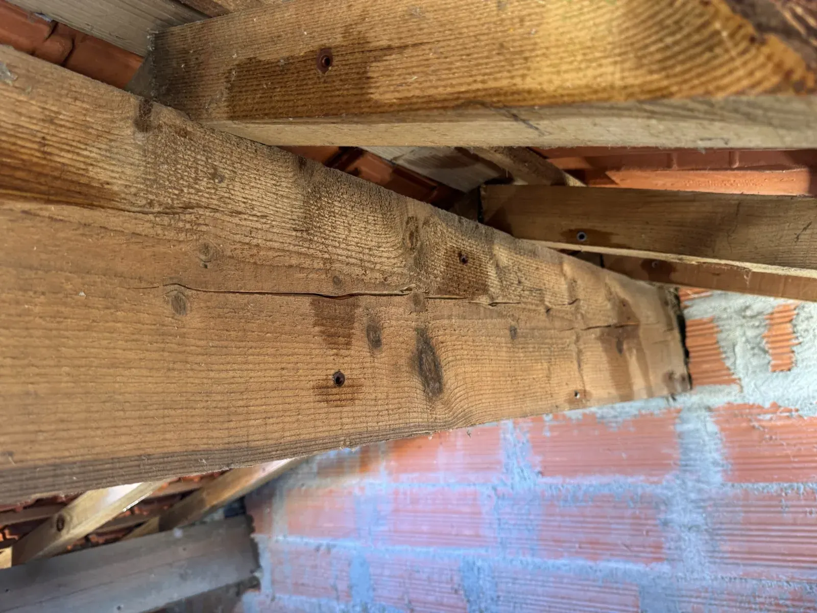 Poutre de charpente traditionnelle sondée dans les combles d'une maison à Martillac