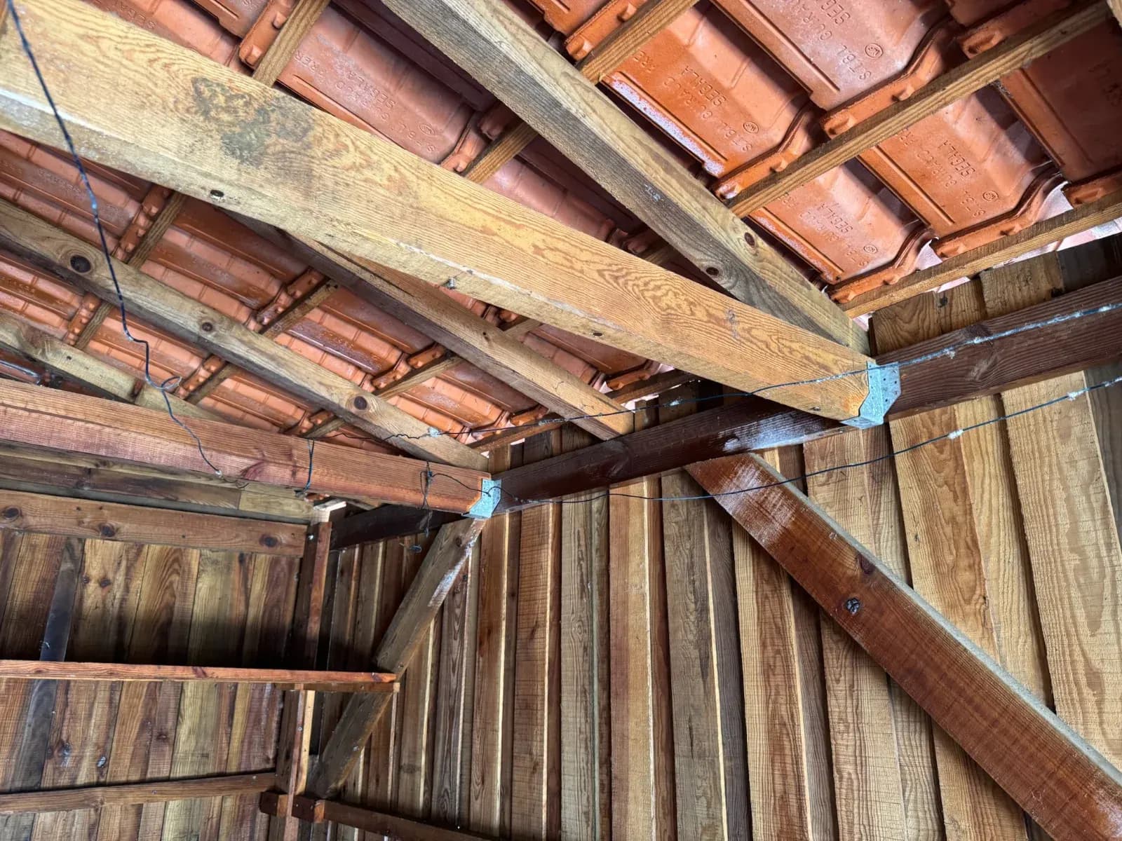 Charpente et bardage intérieur du garage traités contre les capricornes à Martillac