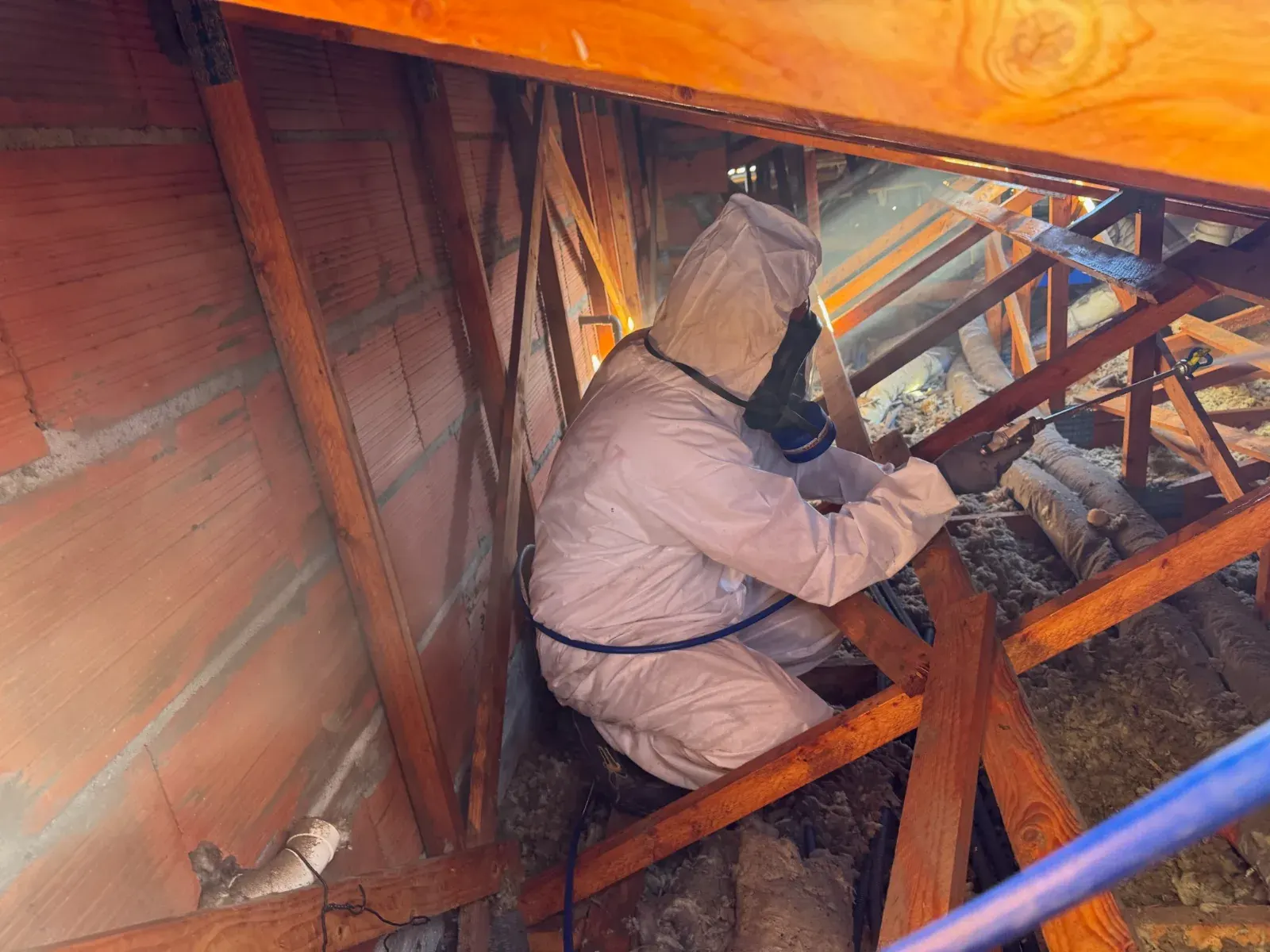 Traitement préventif des fermettes d'une maison à Saint-Médard-en-Jalles