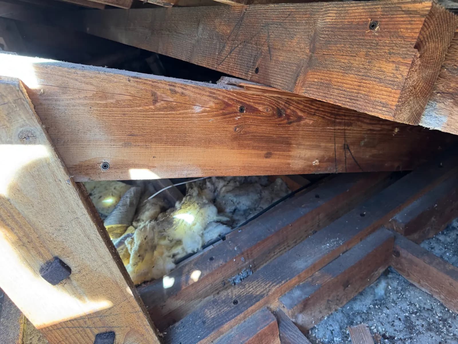 Contrôle des bois de charpente en combles isolés avant traitement préventif à Margaux