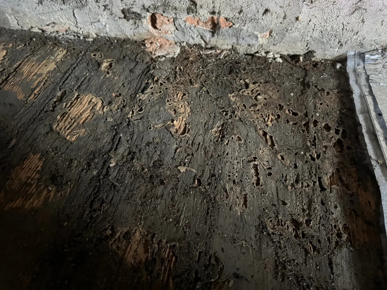 Bois de charpente rongé de l'intérieur par les termites, réduit en dentelle, à Belin-Béliet