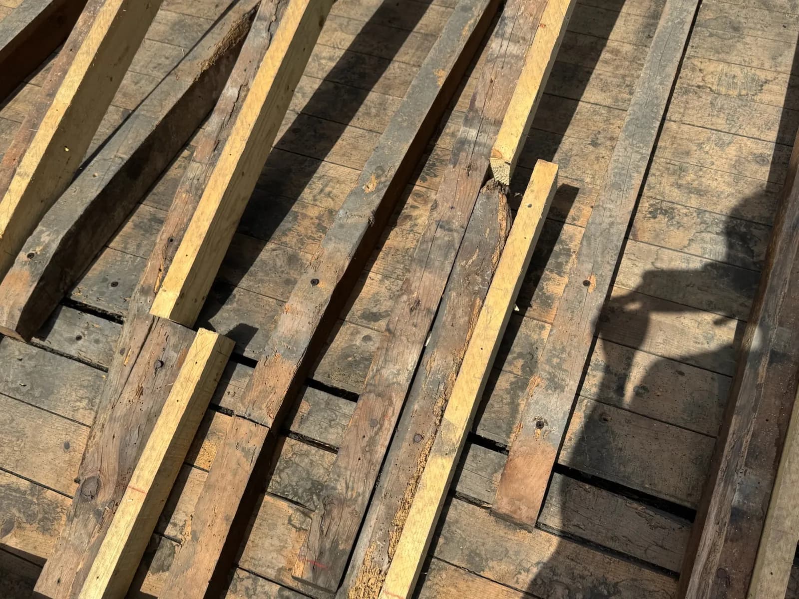 Solives de plancher de combles : bois anciens attaqués et pièces neuves de renfort à Belin-Béliet