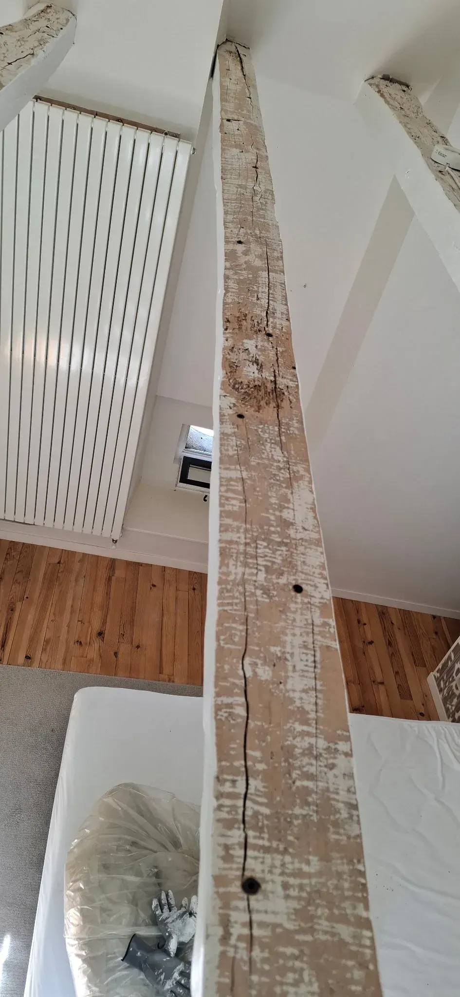 Panne de chambre sous combles poncée à Saint-Jean-de-Blaignac, perforations de vrillette visibles sur toute la longueur